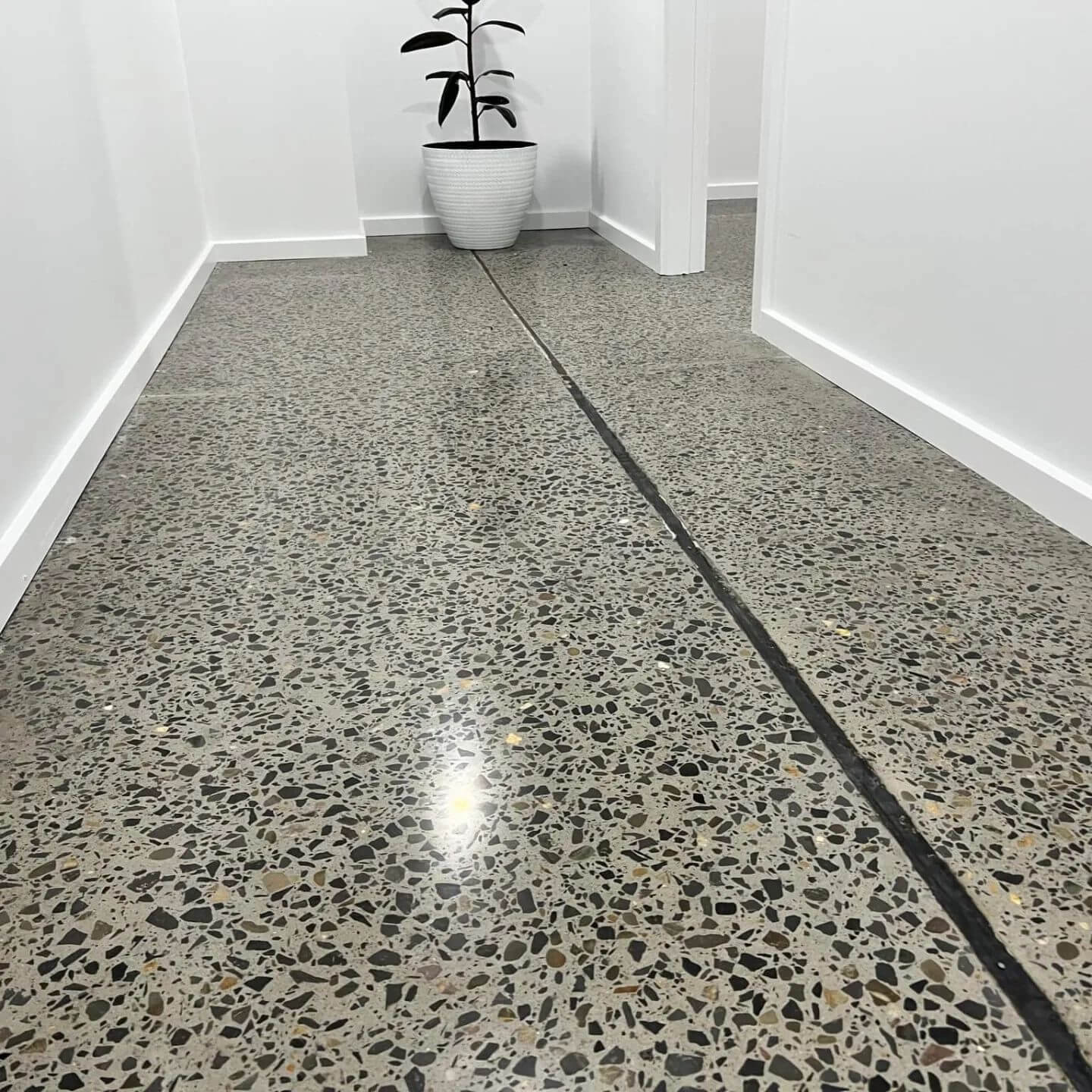concrete flooring with feature plant